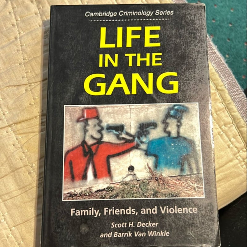 Life in the Gang