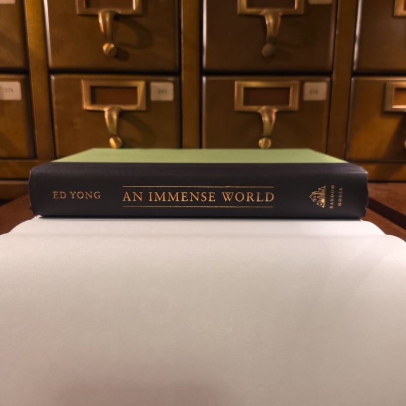 An Immense World