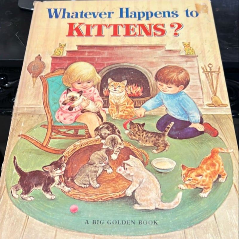 Whatever Happens to Kittens? 