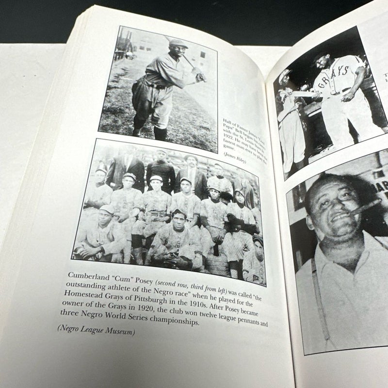 Complete History of the Negro Leagues, 1884 to 1955  Revised