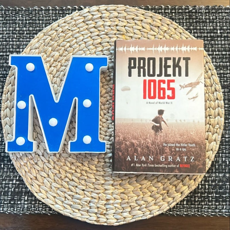 Projekt 1065