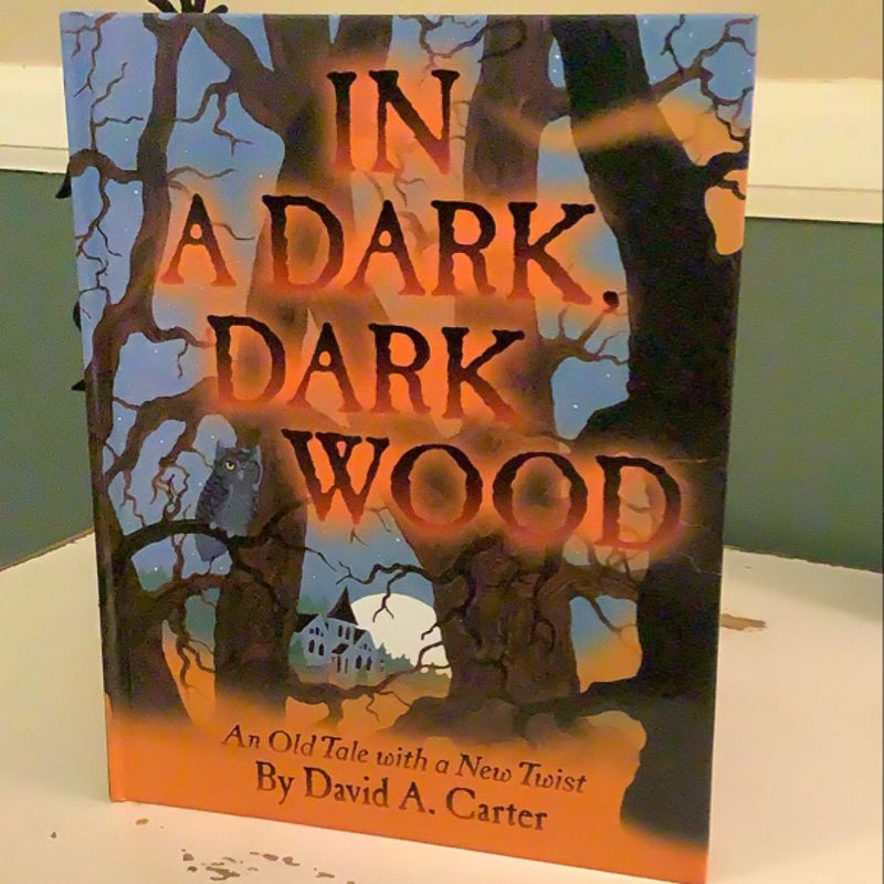 In a Dark, Dark Wood