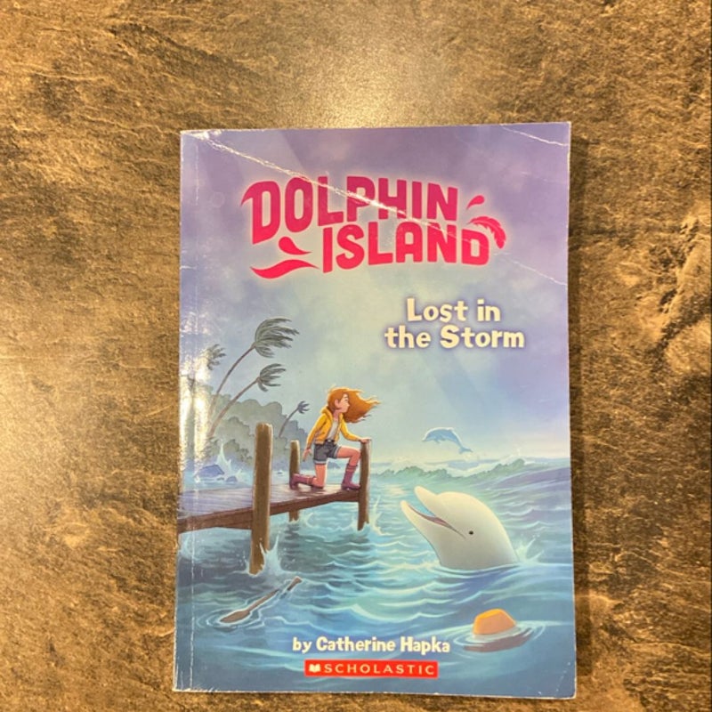 Lost in the Storm (Dolphin Island #2)