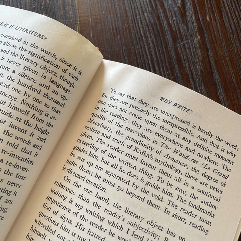 What is literature? Philosophy Essays 