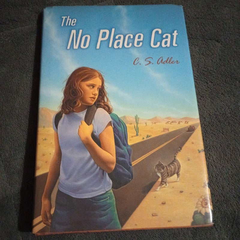 No place cat