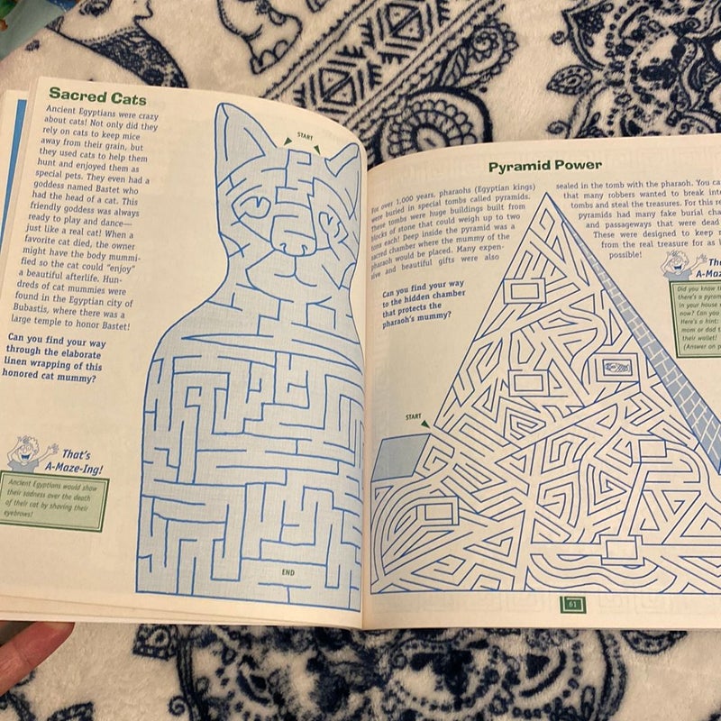 The Everything Kids' Mazes Book