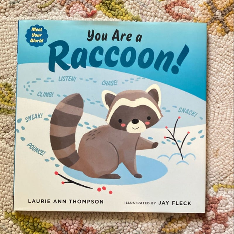 You Are a Raccoon!