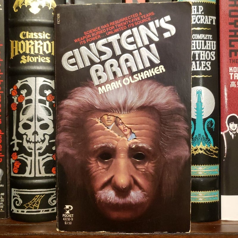 Einstein's Brain