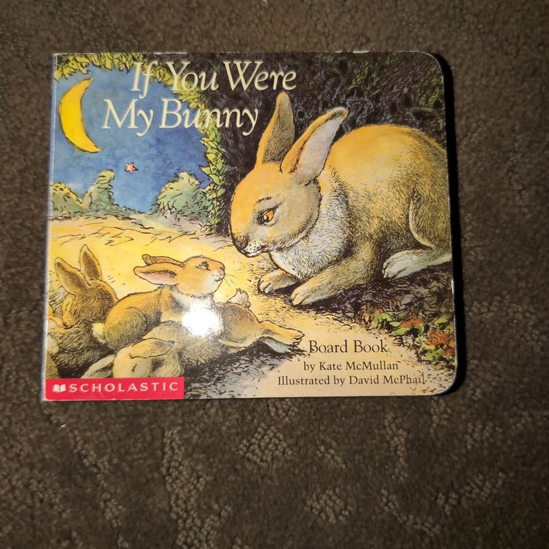 If You Were My Bunny