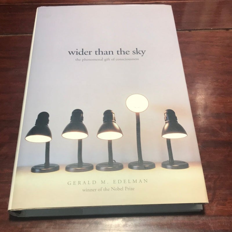 1st ed./1st printing * Wider Than the Sky