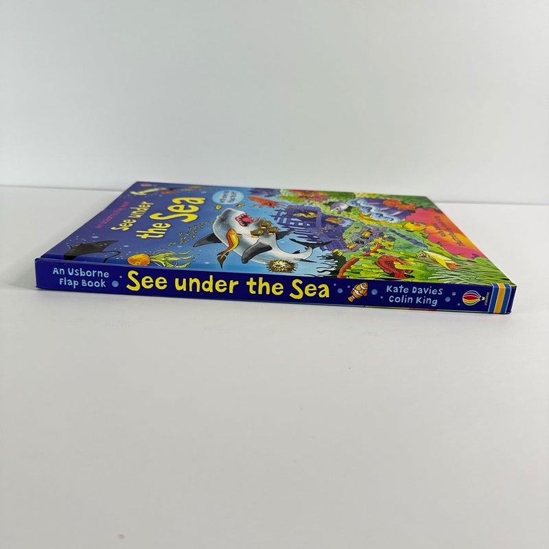 Usborne Flap Book-See Under the Sea