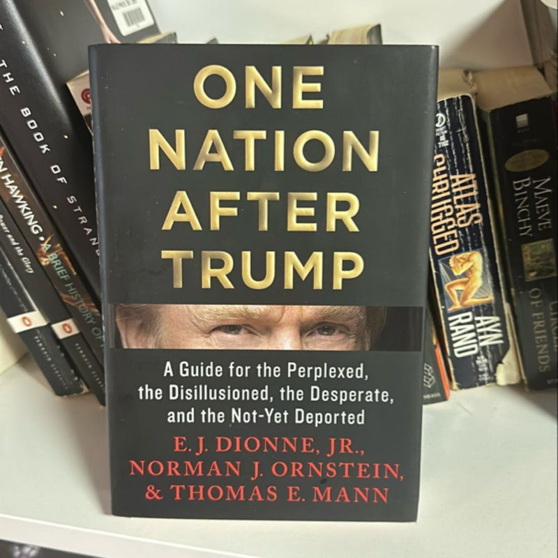 One Nation after Trump