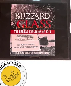 CD Audiobook: Blizzard of Glass