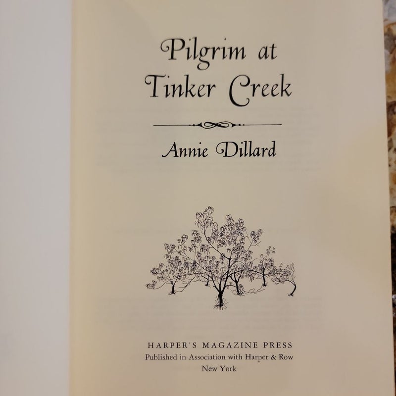 Pilgrim at Tinker Creek