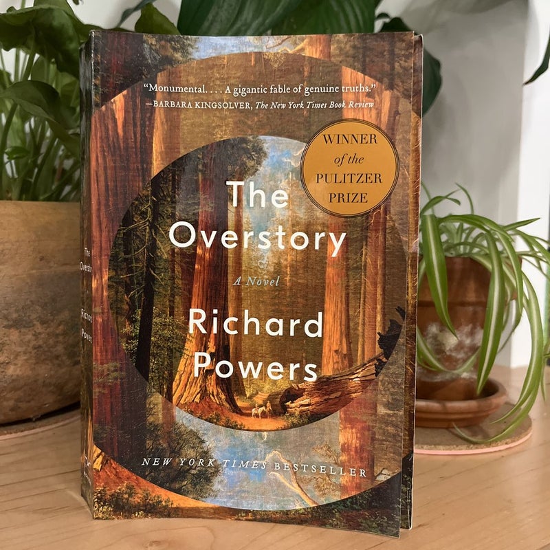 The Overstory