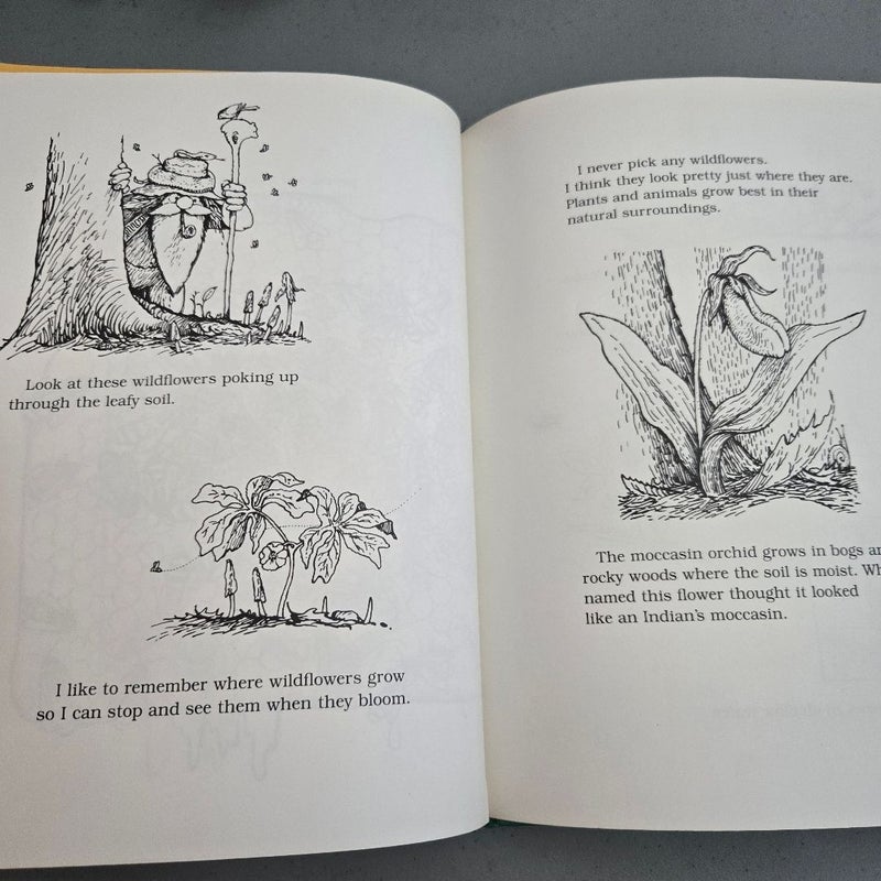 I Was Born in a Tree and Raised by Bees