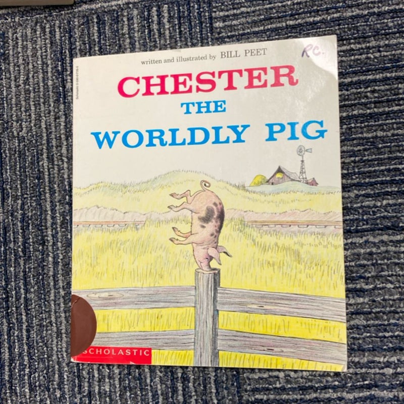 Chester the worldly pig