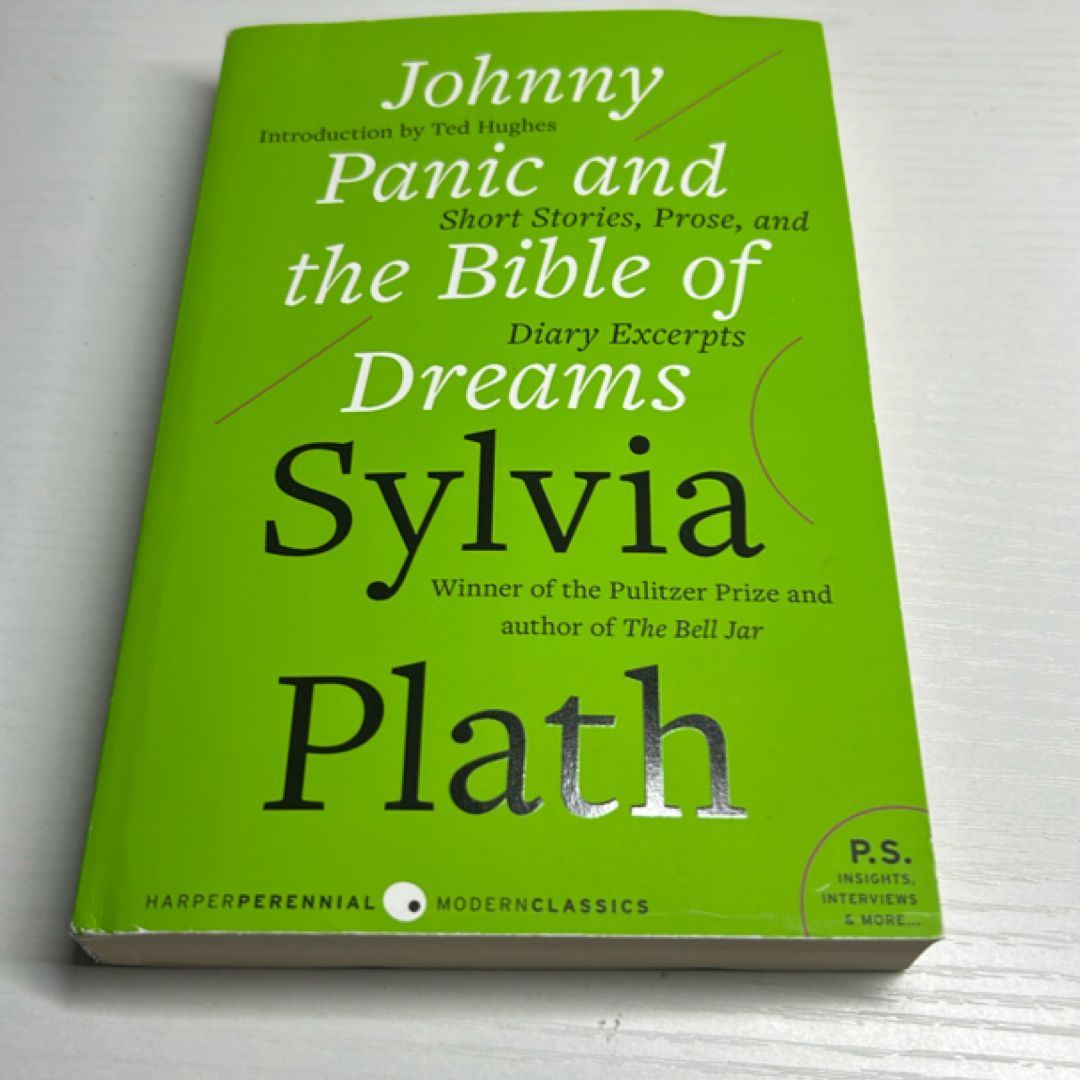 Johnny Panic and the Bible of Dreams