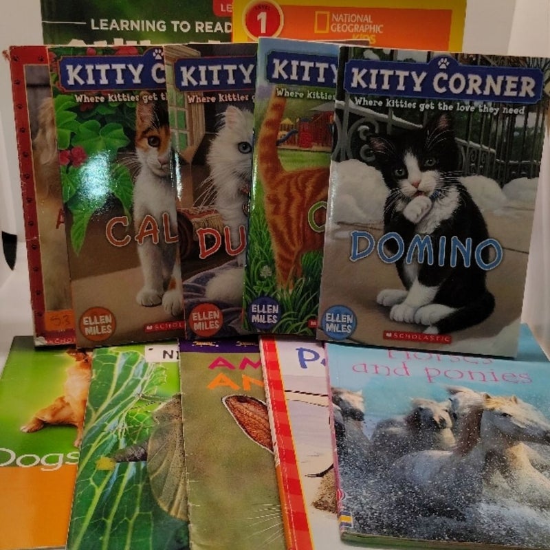 Lot of 12 Kids Animal Books  Dinosaurs, Cats, Dogs, Horses + More!
