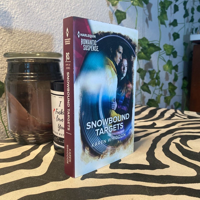 Snowbound Targets
