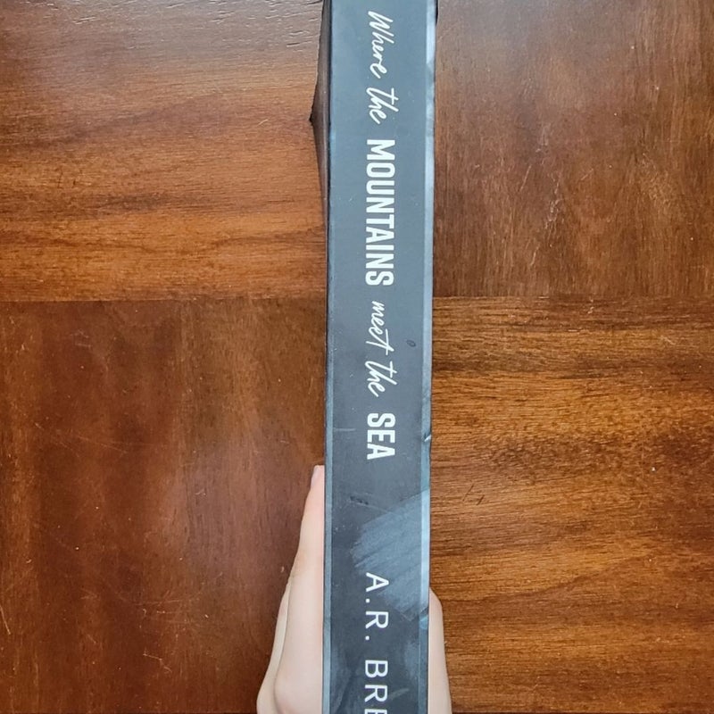 Where The Mountains Meet The Sea by AR Breck Dark Romance Book Novel Smut Angst