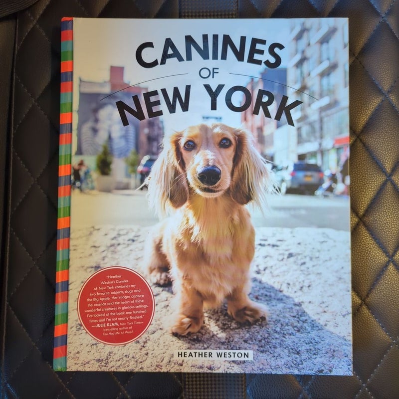 Canines of New York