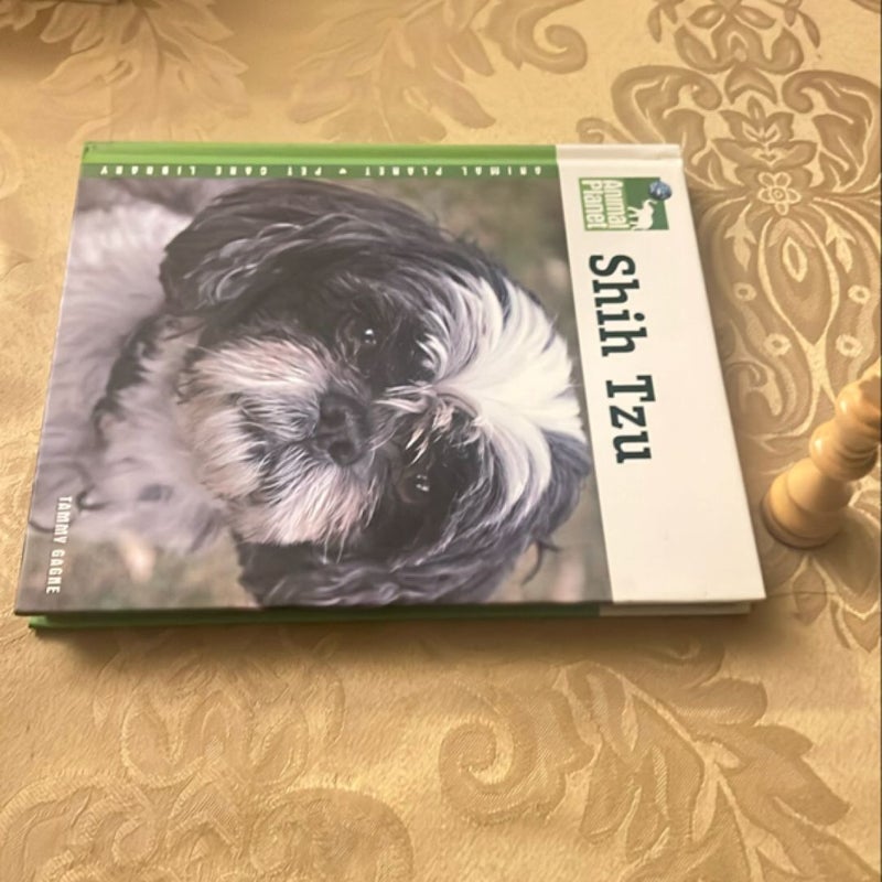 Shih Tzu