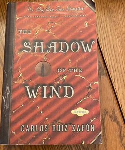 The Shadow of the Wind