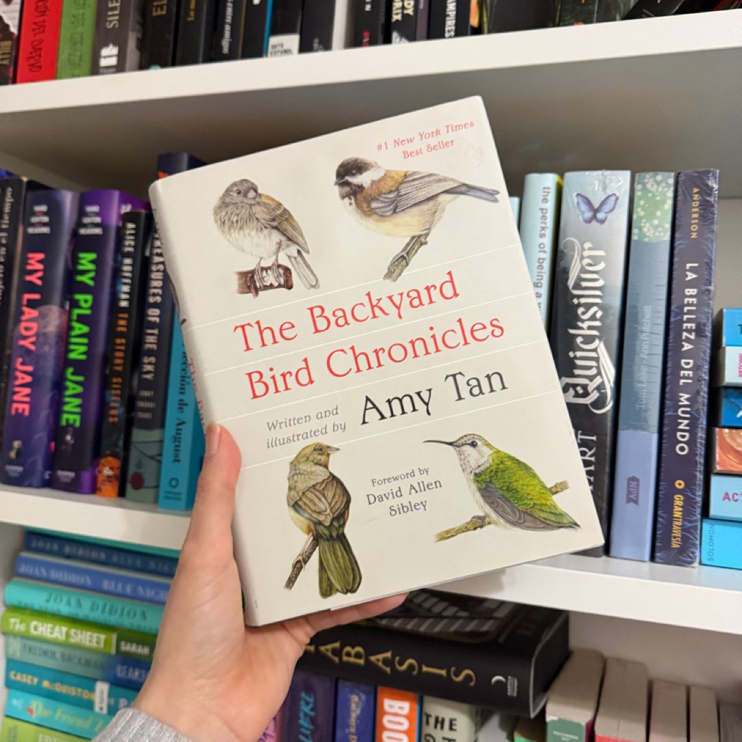 The Backyard Bird Chronicles