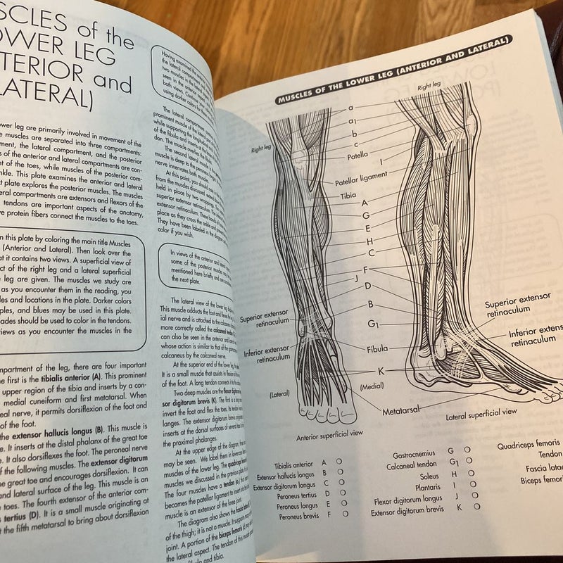Anatomy Coloring Workbook