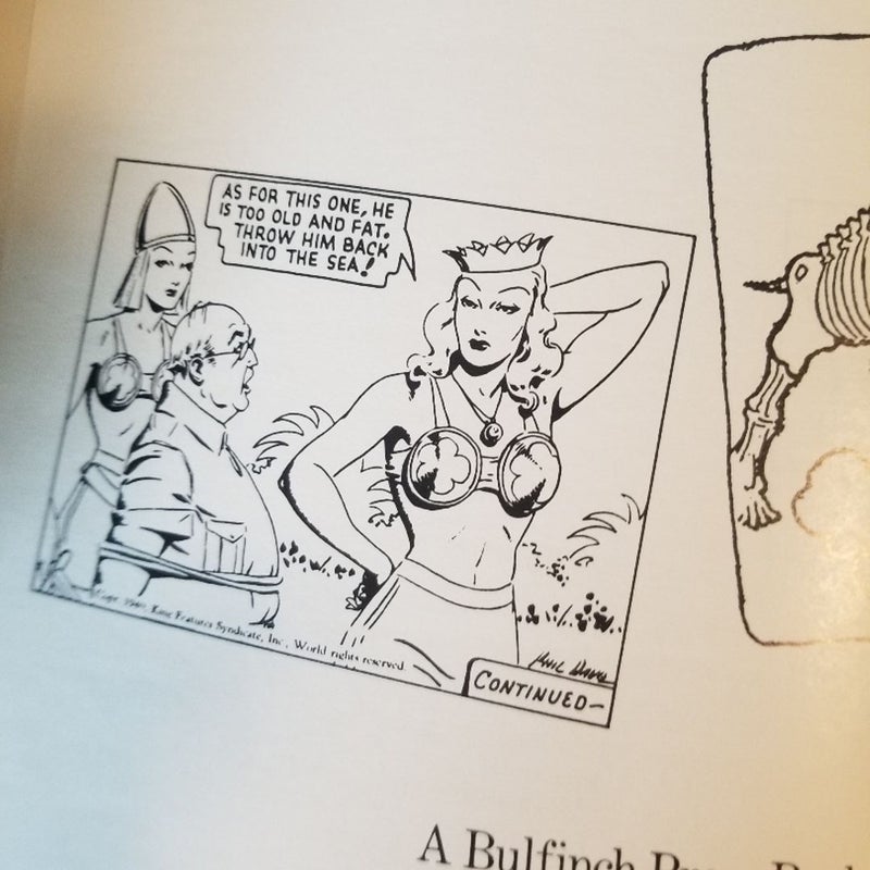 The great American Comic strip 