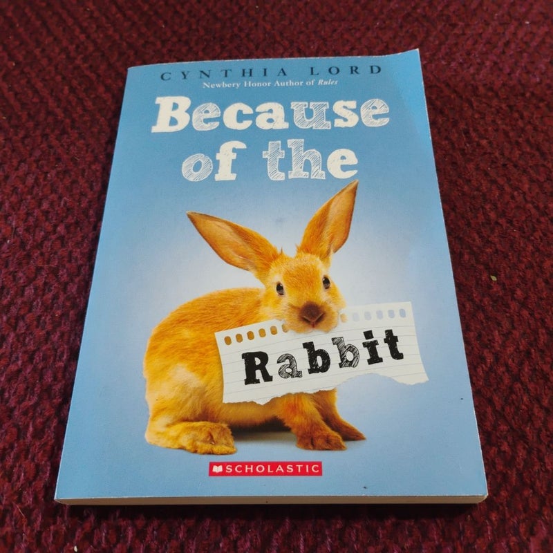 Because of the Rabbit