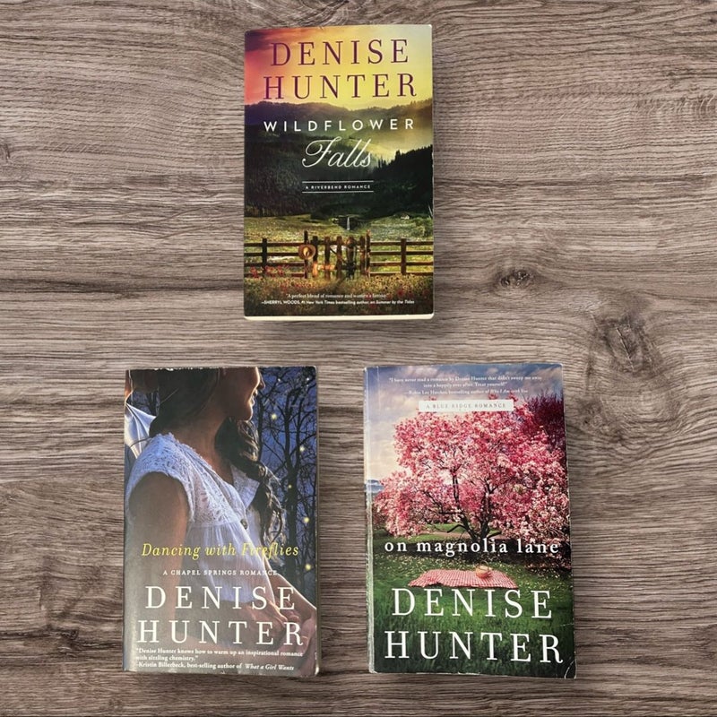 Denise Hunter Lot of 3 Books