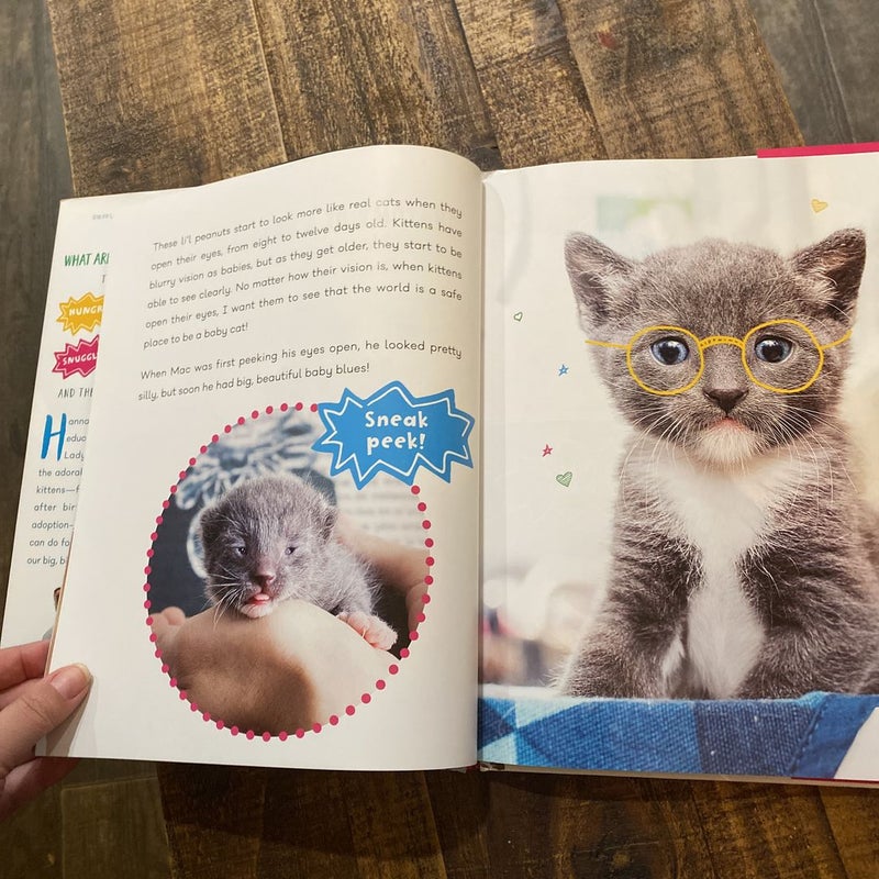 Kitten Lady's Big Book of Little Kittens