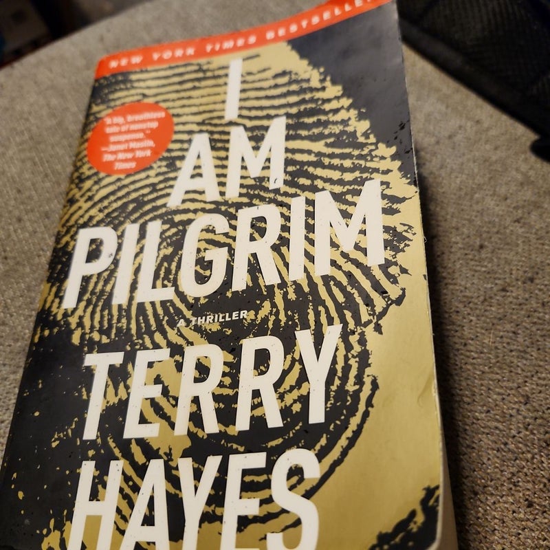 I Am Pilgrim