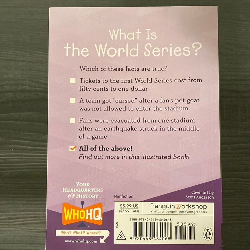 What Is The World Series?