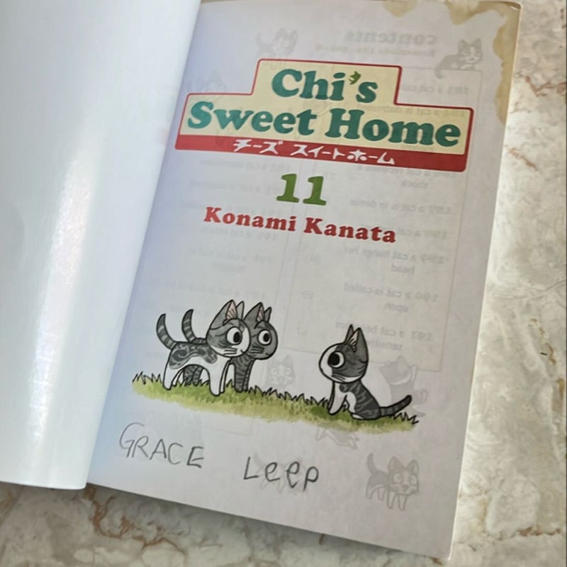 Chi's Sweet Home, Volume 11