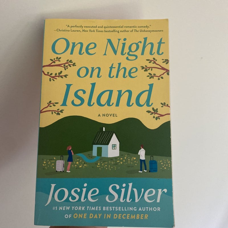 One Night on the Island