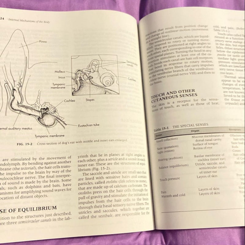 Learning Veterinary Terminology