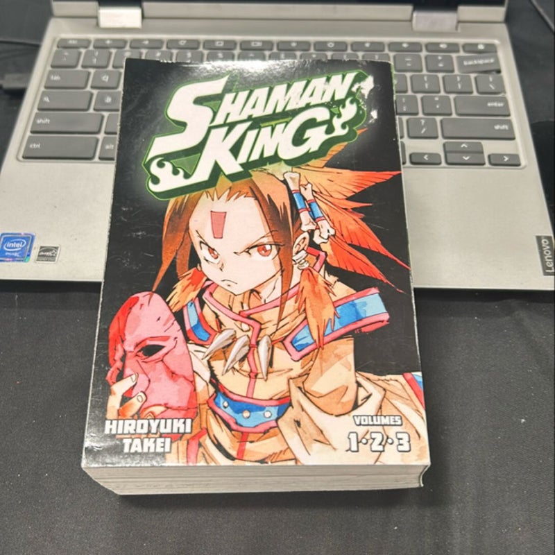 SHAMAN KING Omnibus 1 (Vol. 1-3)