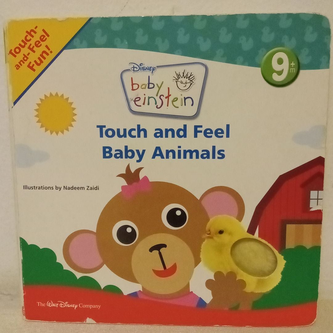 Touch and Feel Baby Animals by Julie Aigner Clark Paperback Pangobooks