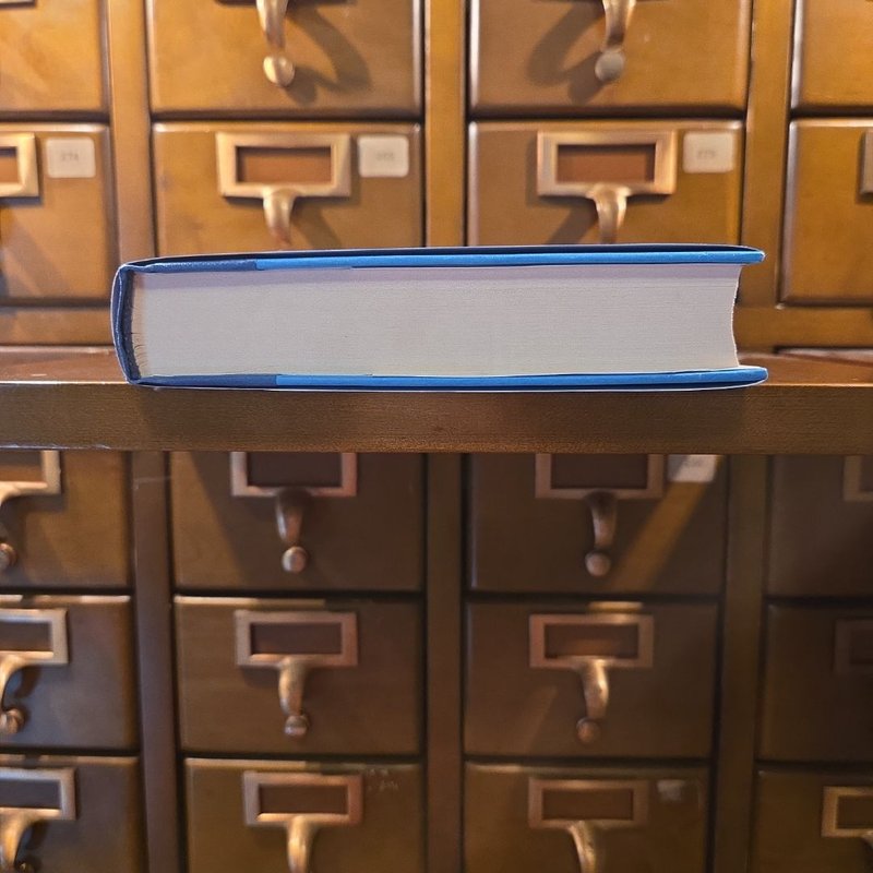 The Night She Disappeared