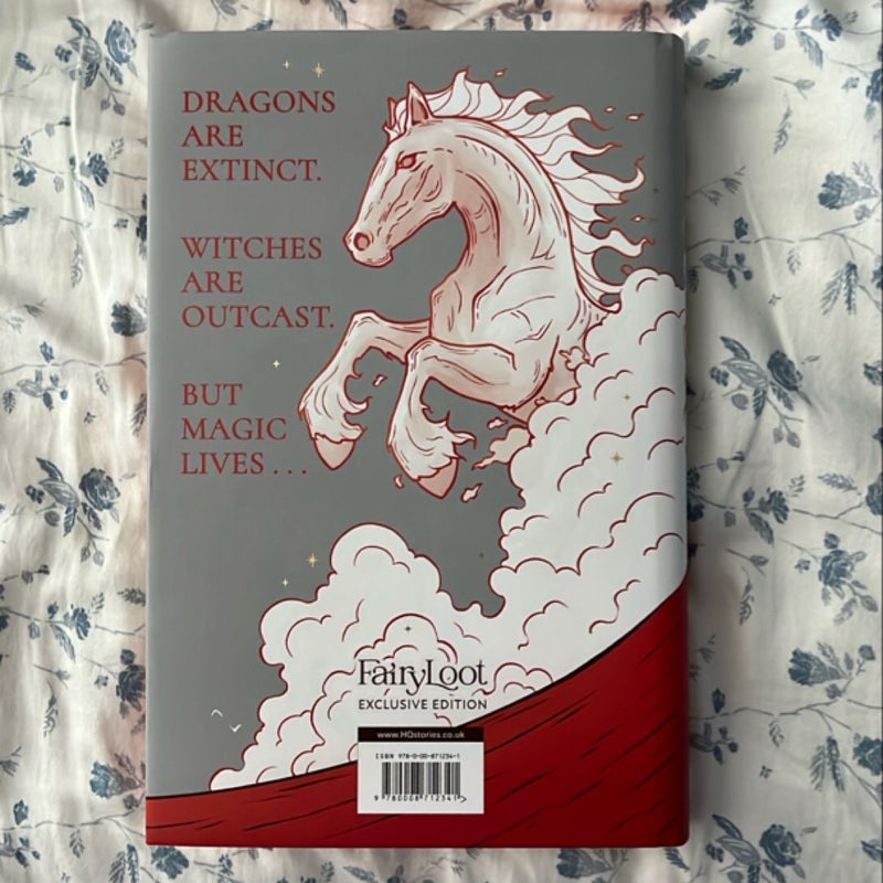 A Fire in the Sky *Fairyloot Edition*
