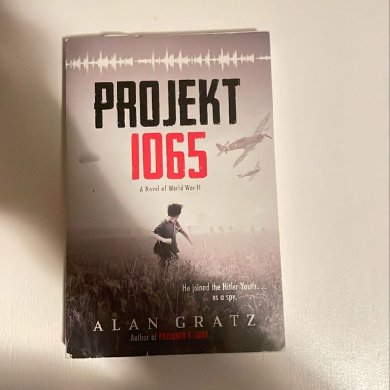 Projekt 1065