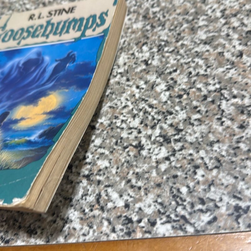 Goosebumps Ghost Beach