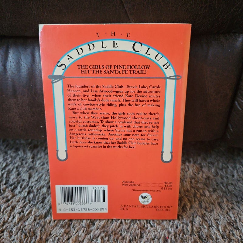 The Saddle Club, Vol. 6