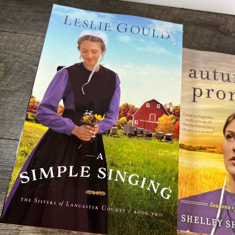 Amish Fiction Mixed Lot
