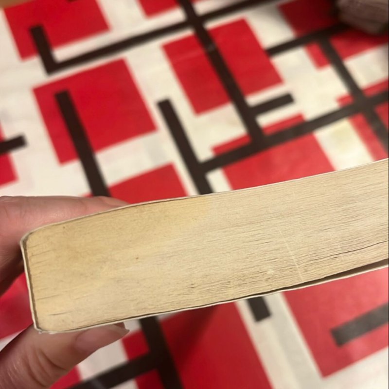 In a Dark, Dark Wood