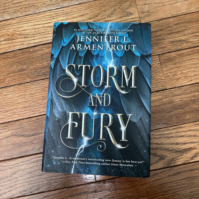 Storm and Fury