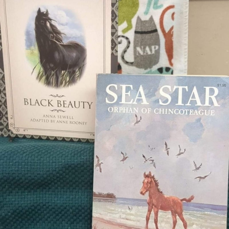 Horse book set (2 books) 